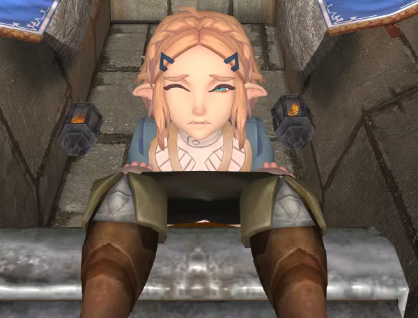 Princess Zelda: Tear of the Paper